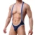 Сексуальные мужские Майки Jockstrap Mesh Дышащие Комбинезоны Купальник Нижнее Белье Teddies One-Piece Wrestling Singlet Bodysuirts 2XL