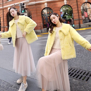 

Short winter popular new lambs wool coat female fashion elegant temperament minus age furry coat