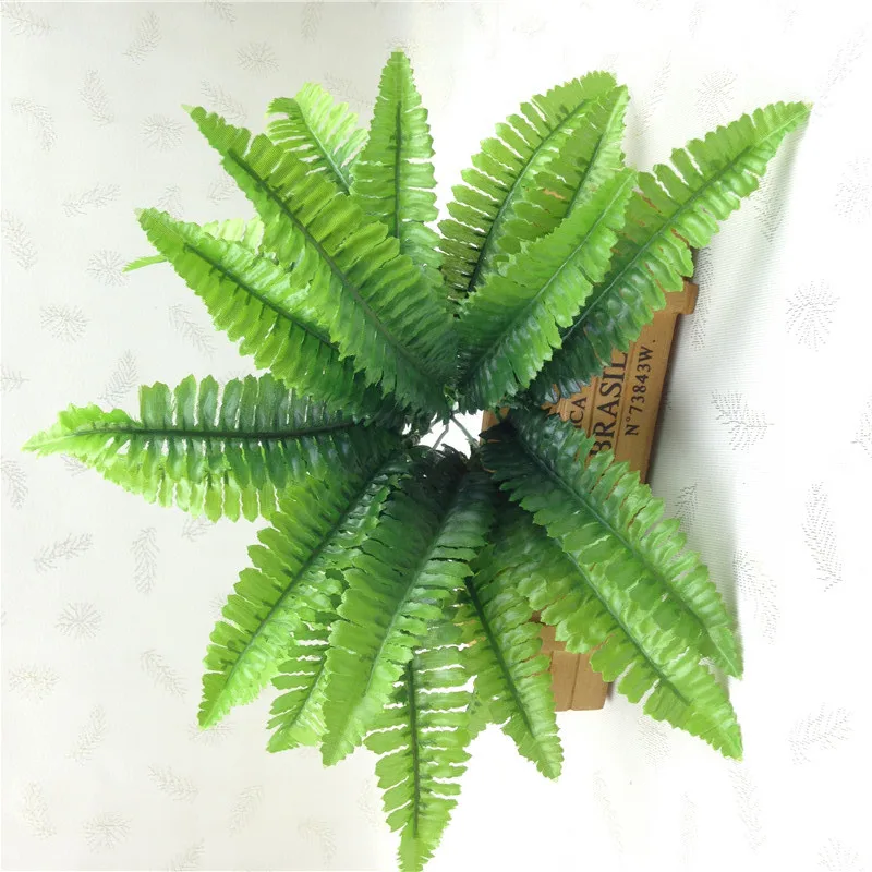 10836613593_105571374