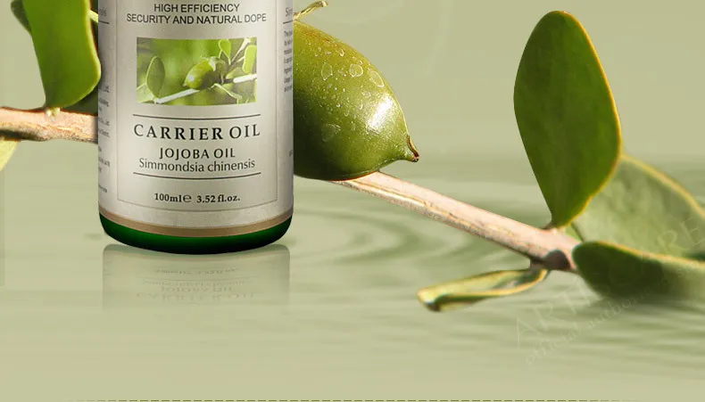 jojoba_02