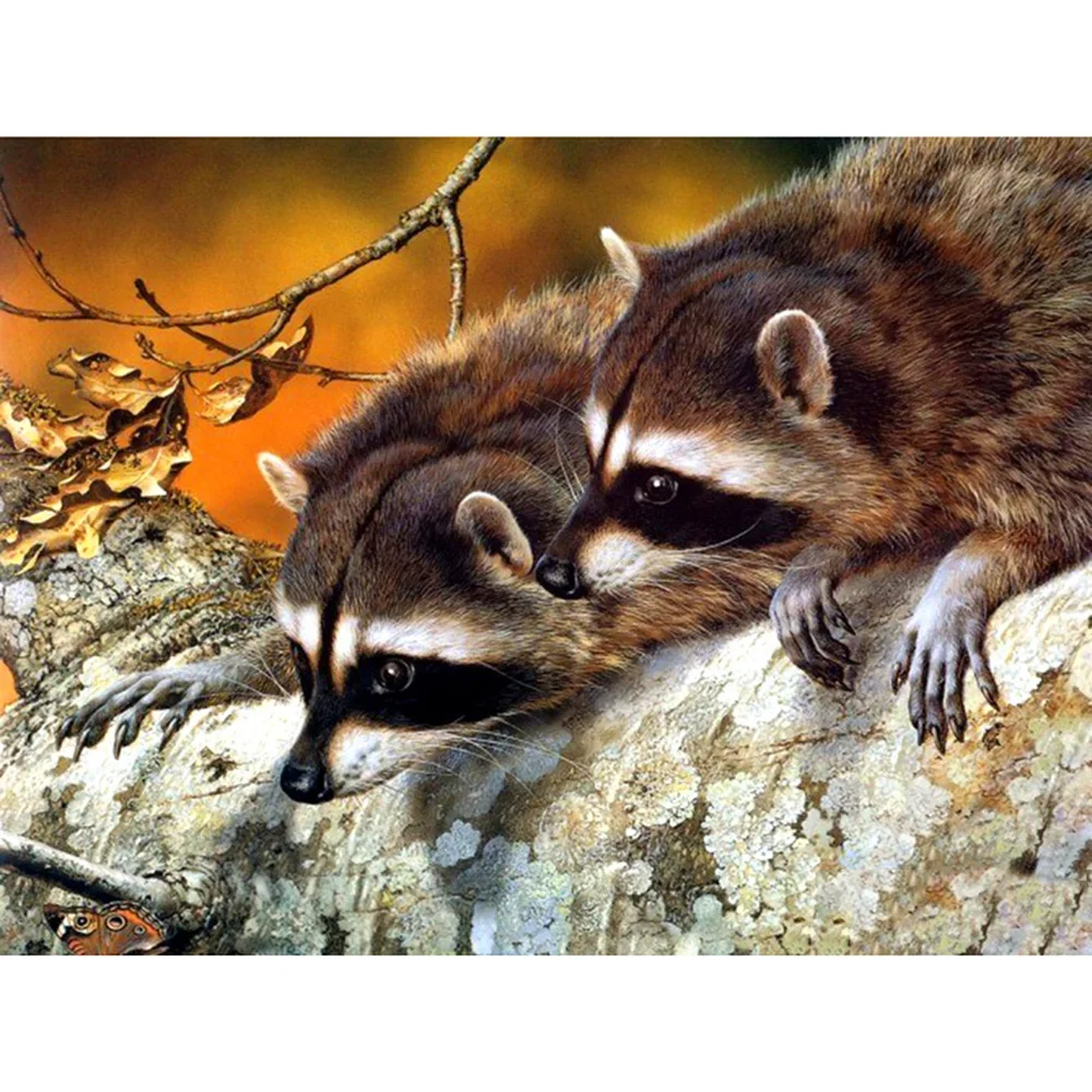 kexinzu-Full-Square-Round-Drill-5D-DIY-Diamond-Painting-Animal-raccoon-3D-Embroidery-Cross-Stitch-Home