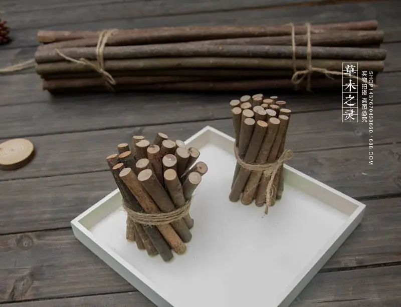  EXCEART 50 Pcs DIY Wooden Stick Craft Sticks Bulk Natural Twigs  Sticks Mini Wood Log Natural Wooden Sticks DIY Craft Sticks Twigs Diftwood  Tree Branch Decor Hand Vase Household Birch Child 