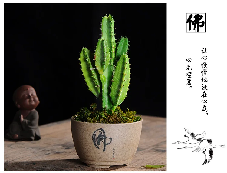 Succulent Succulent Flower Pot Creative Handmade Vintage Stone Pot