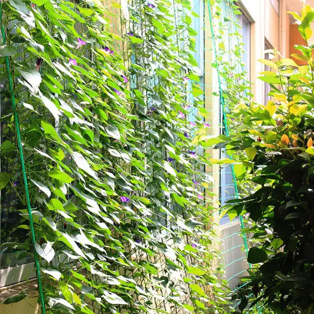 Kerti Zöld Nylon Zöldségüzem Rácsos Háló Tartó Nets Bab Növényi Mászás Grow Kerítés Madárellenes Mászóháló - Image 2