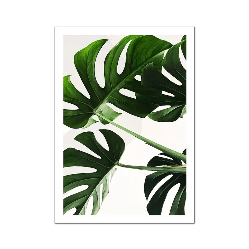 Monstera-Deliciosa-Poster-Plant-Flower-Leaf-Canvas-Painting-Nordic-Wall-Art-Pictures-For-Living-Room-Modern (3)