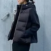 Coats 