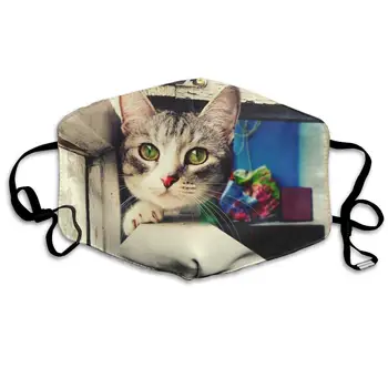 

Mouth Mask for Daily Dress Up, Cat 4 Anti-dust Mouth-Muffle, Washable Reusable Holiday Half Face Masks for Mens and Womens with