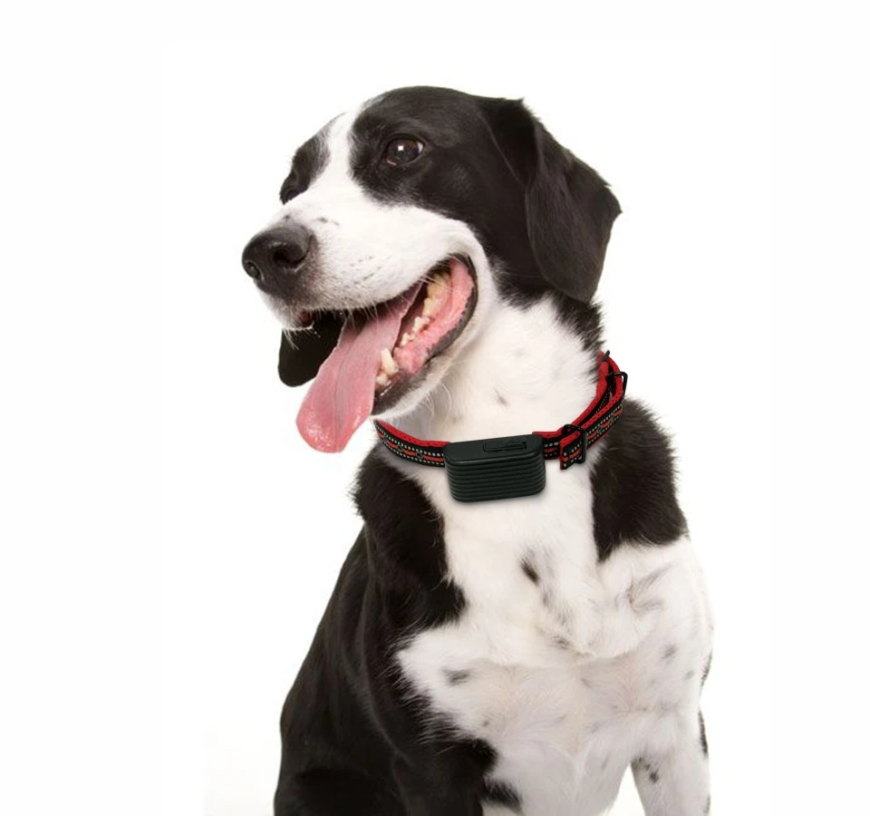 8th Dog training bark collar DB500