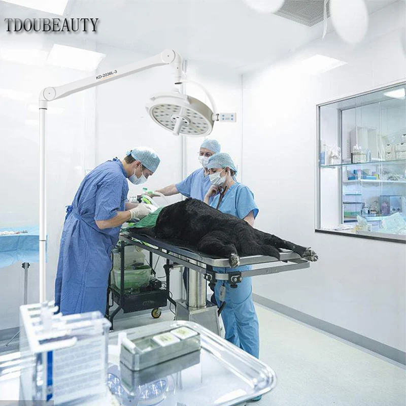 Подвижная напольная хирургическая бестеневая лампа TDOUBEAUTY Super 108 ВТ для домашних