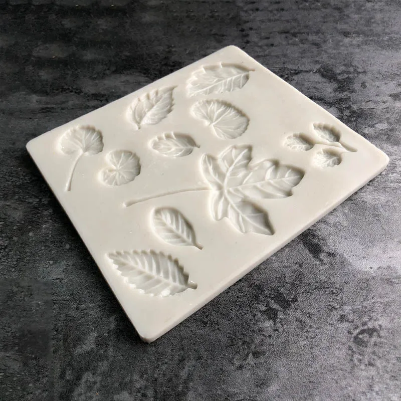 10558693555_687444823