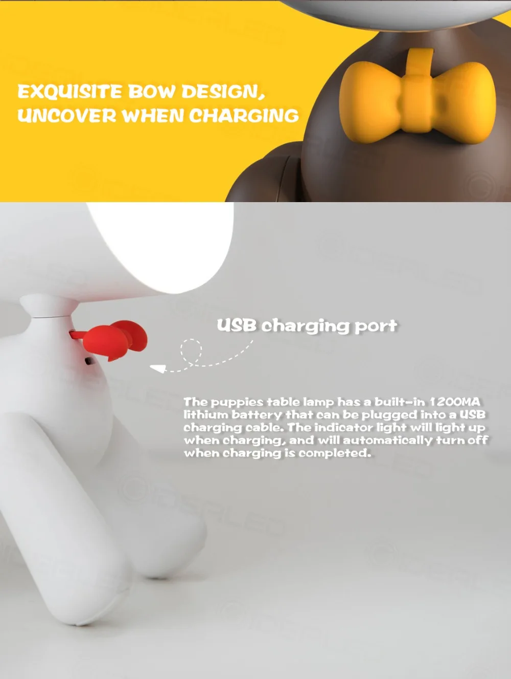 9625835873_1743032699