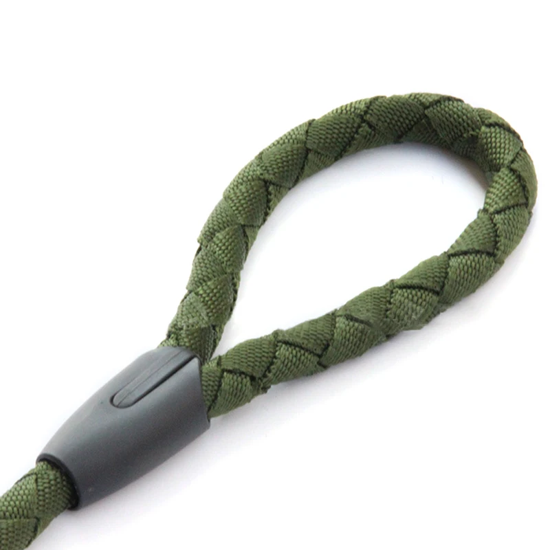 1758018560_1383701481