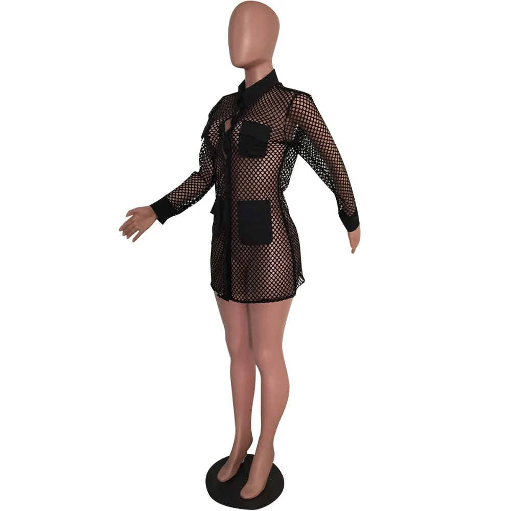 12467303307_1135413410