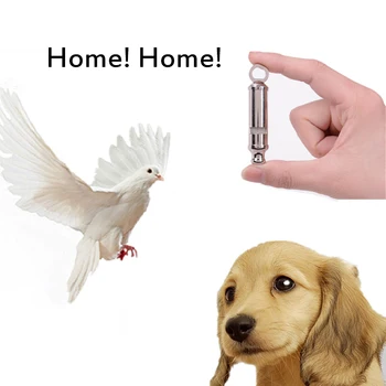 

Stainless Steel Random Color Pet Whistle Bird Call Training Dog Whistle Pigeon Flute Pigeon Whistle Plastic Pet Training Whistle
