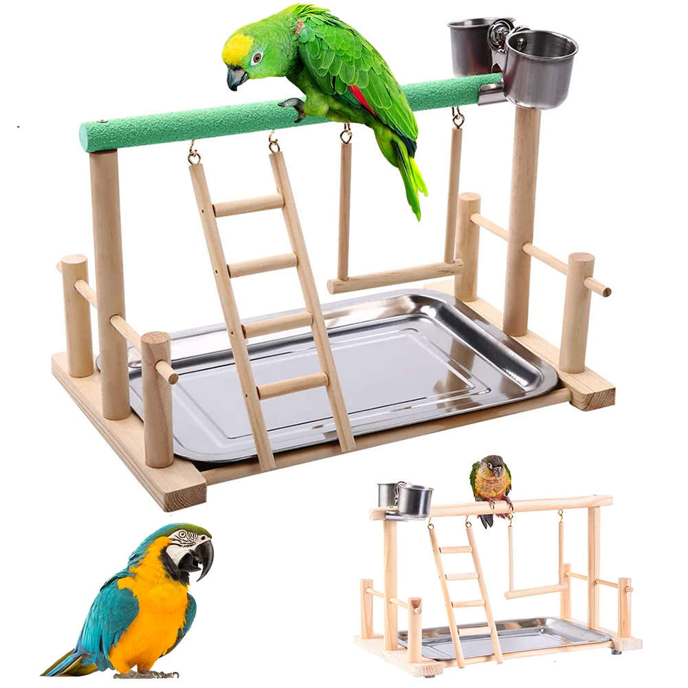 O campo de jogos dos papagaios, as escadas de paraqueet do suporte do jogo  do gym
