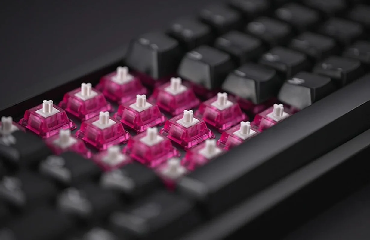 【キースイッチ】DRAGON FRUIT SWITCHES【100個】 The Key Dot Company x C3 Dragon Fruit Tactile Switch Review