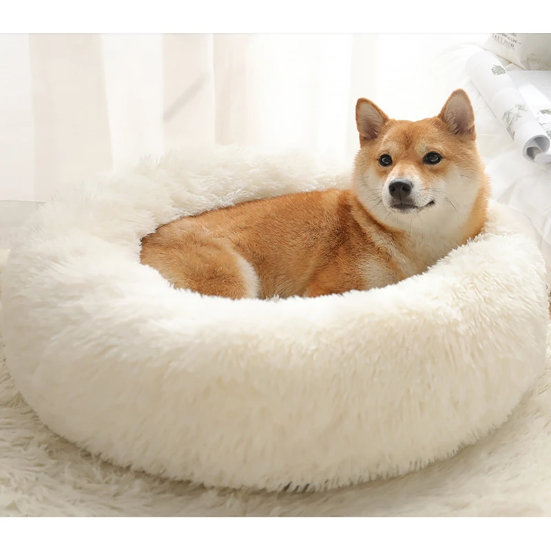 super plush dog bed
