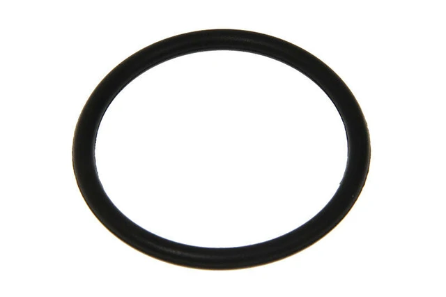 Delonghi oil seal OR radiator TRD TRD0820 S1010 TRSW KH590 KH770 H29