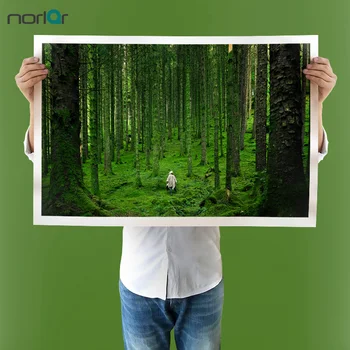 

Big Size Green Forest HD Canvas Print Painting Artwork Modern Home Wall Art Decor Painting HD Picture On Canvas Prints No Frame