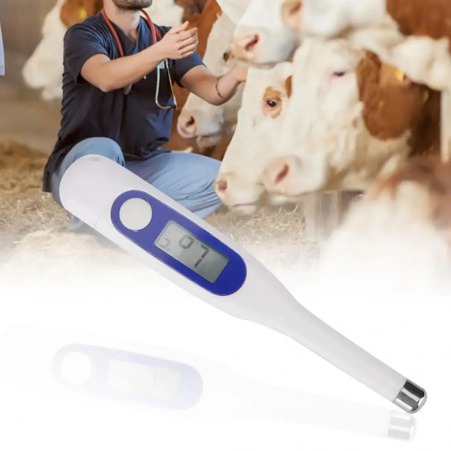 градусник в ветеринарии. термометр для лошадей. термометр электронный ректальный vet. наконеч. это мой первый ректальный термометр.