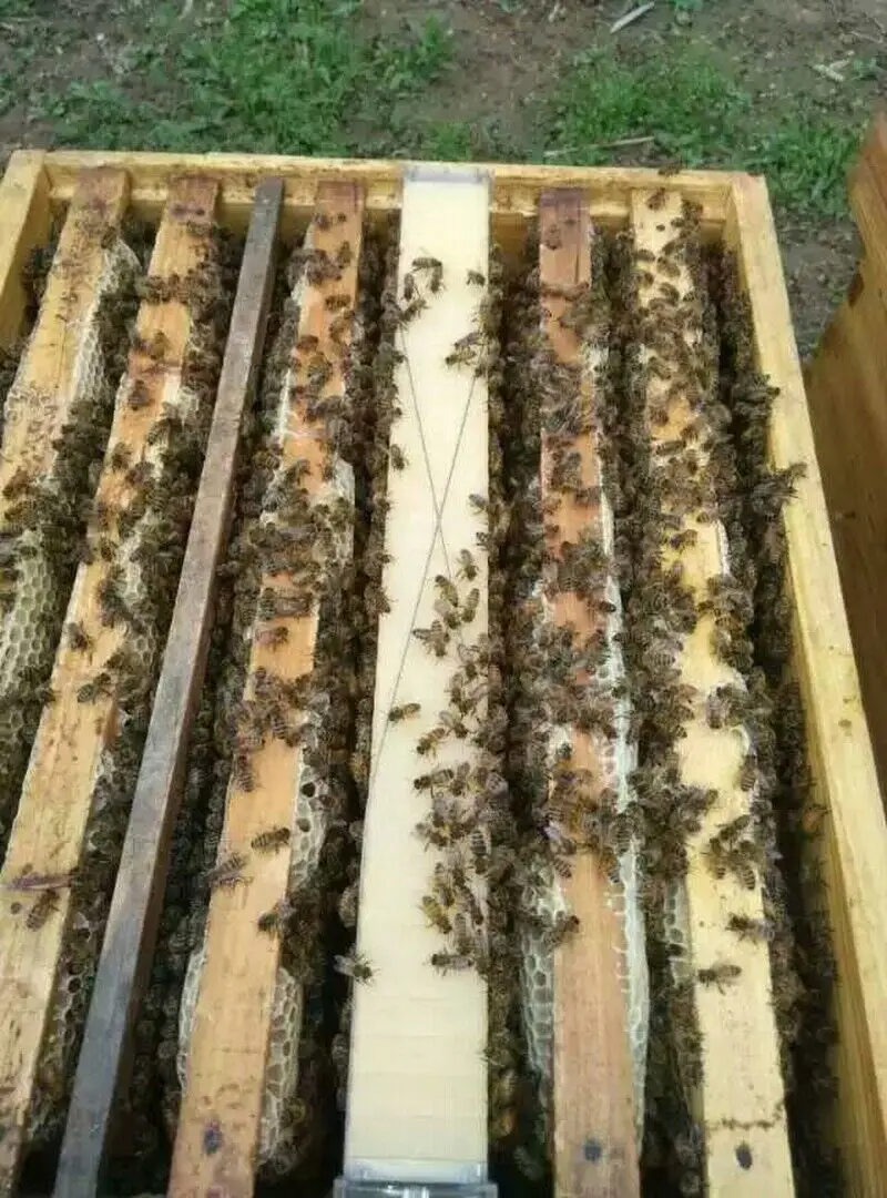 Hd979b0910d6e44cb9fcc814c5aa51ac1s