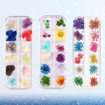

3 Box of 72Pcs Dried Flowers Nail Art Stickers Japanese Style Sunflowers Babysbreath Little Daisies Floral Manicure Decals DIY N