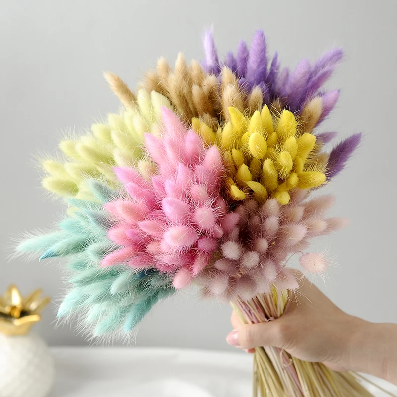 

60Pcs Natural Dried Flower Colorful Lagurus Ovatus Uraria Picta Rabbit Tail Grass Bouquets Bunches Home Decoration Flower Wall