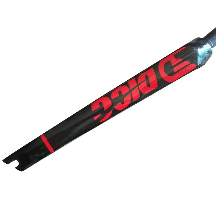 carbon bike fornt