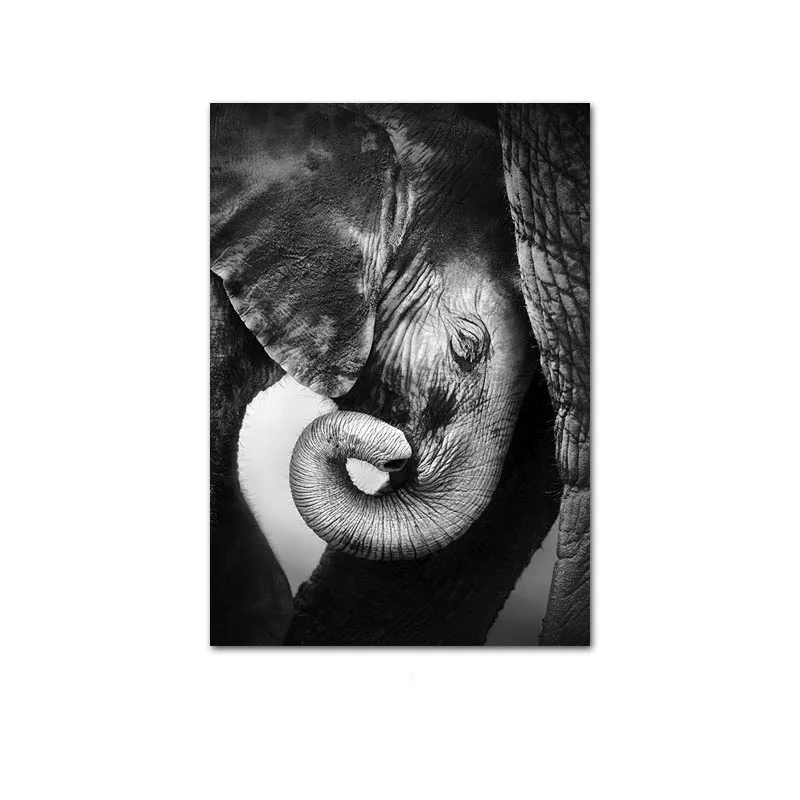 Леопард лев слон художественное произведение Настенная картина черно-белое животное холст искусство плакат и печать Скандинавская живопись современное украшение дома - Цвет: Picture 5