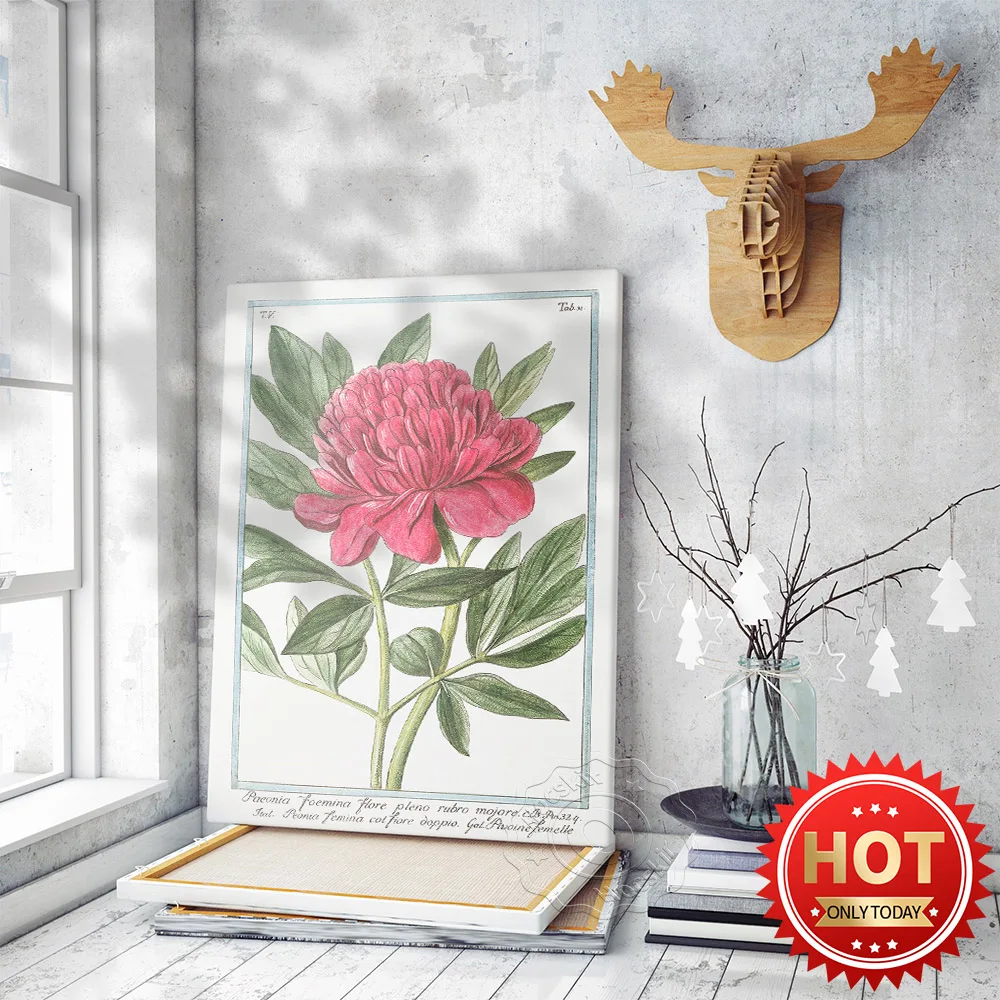 

Pink Peony Botanical Art Poster, Vintage Peony Art Decor Wall Picture, Watercolor Floral Illustration Living Room Decor Prints