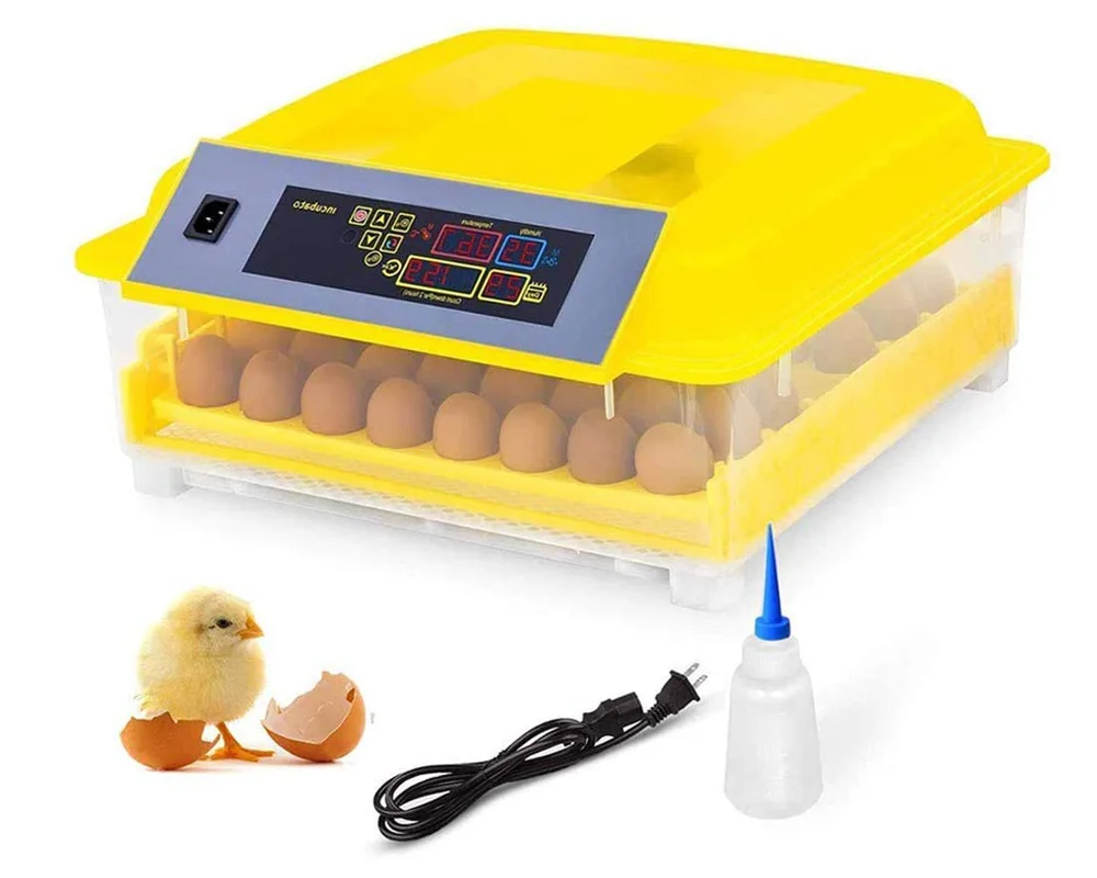 Инкубаторное яйцо купить. Инкубатор для яиц Egg incubator. Инкубатор для яиц Egg incubator 56. Инкубатор Egg incubator 6. Fully Automatic Egg incubator.