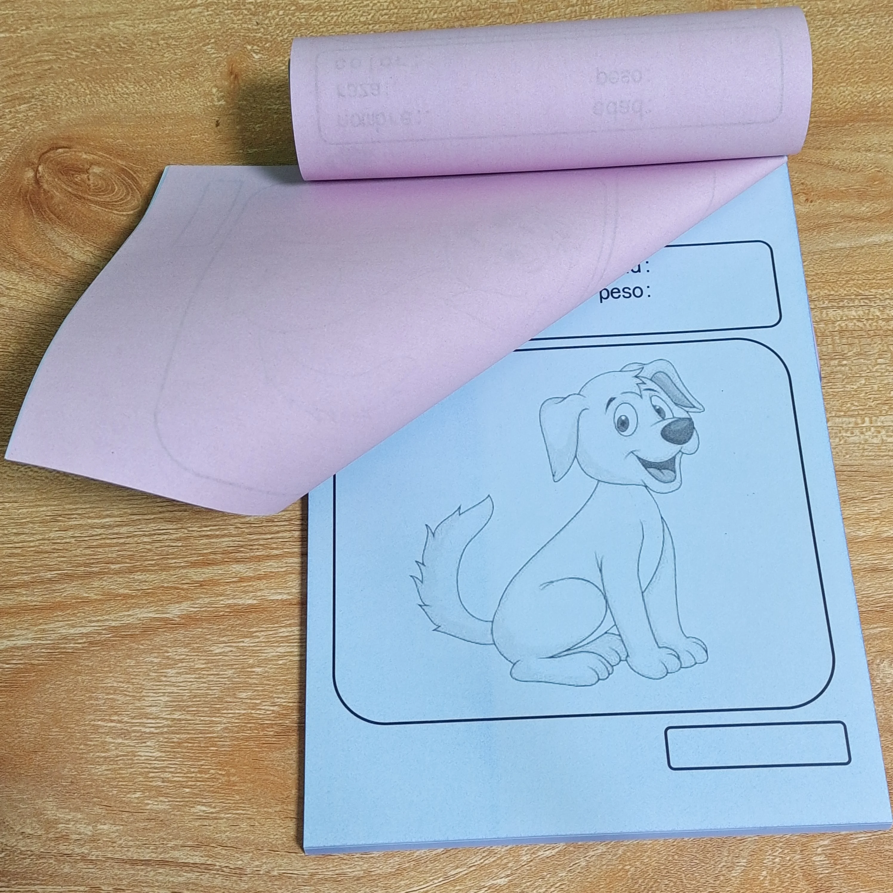Receipt Books by Carbonless Paper printing custom