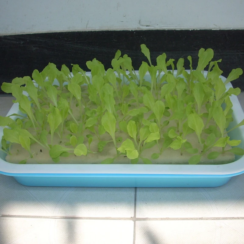 1pc 300mm by 200mm Nursery Sponge Gardening Hydroponics Sponge Vegetables Hydroponics for Garden Supplies