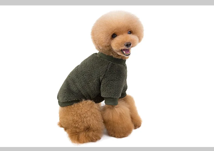 green dog clothes