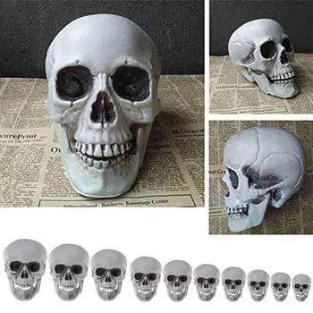 

DIY Skull Ornaments Statues Halloween Decorations Artificial Skull Head Model Plastic Skeleton Halloween Party Bar Ornament Prop