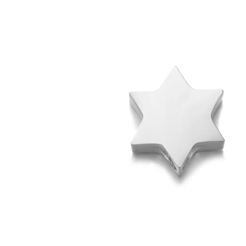 steel hexagram 5 шт 316L бусины из нержавеющей стали 1,8 мм отверстие может поместиться 1 мм/1,5 мм цепи DIY ювелирные изделия Сердце Звезда Луна слон Черепаха Крест ключ Корона - Цвет: steel hexagram
