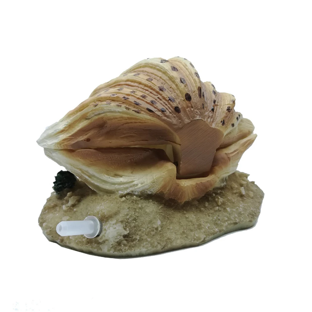 12542857773_1103982721