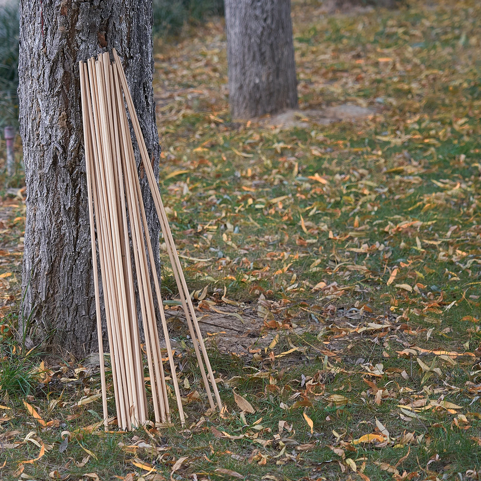 Lot De 24 Flèches En Bois 33" Pour Arc Long – Chasse Et Tir à L'arc – Encoches 8mm