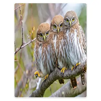 

HommomH Blanket throwing comfort warm and soft plush throwing comfort sofa three cute owls