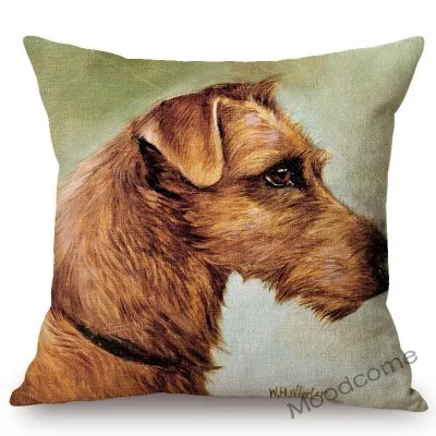 conew_n387 (41) 副本