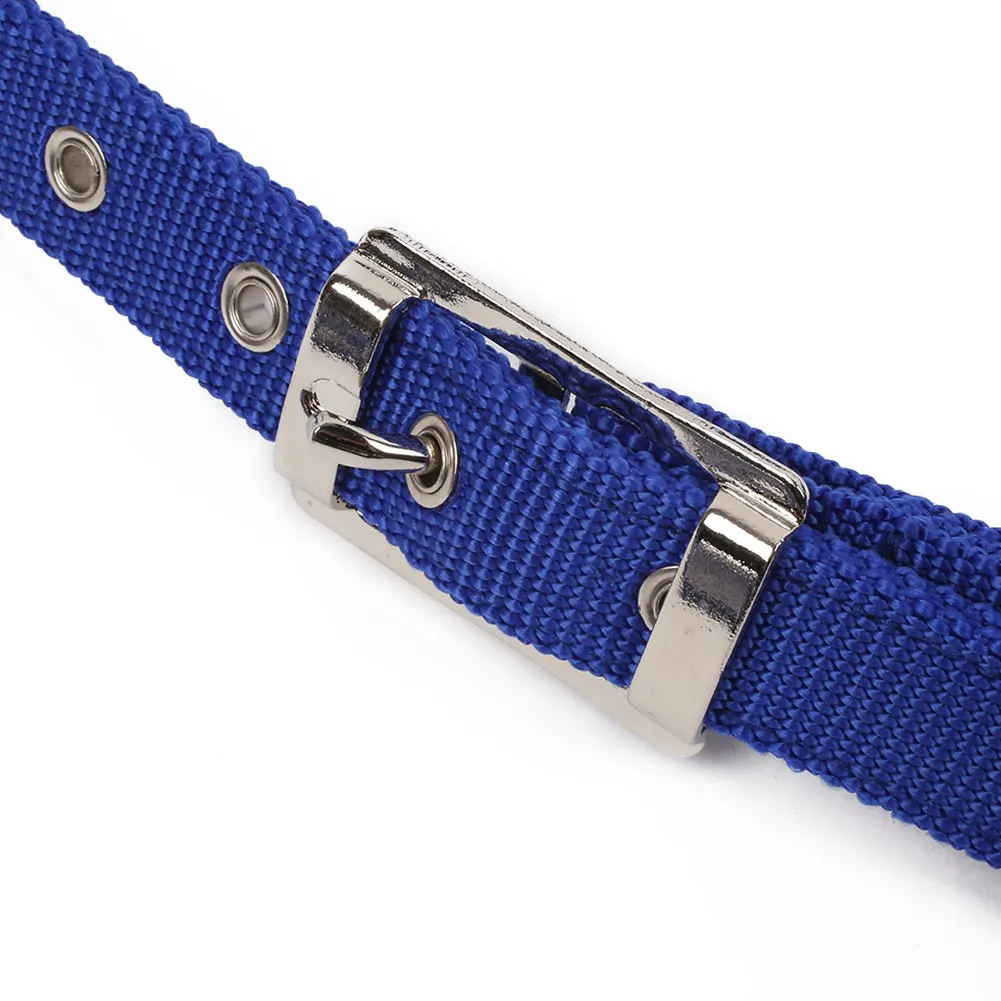 Horse Riding Belt Bridle Adjustable Halter Headstall Horsing Accessory Red/Blue