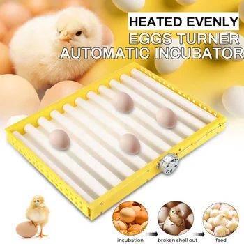 

NEW Plastic Eggs Incubator Turner Accessories Durable Rotary Automatic Roller Pattern Egg Turner Tray Incubation Accessory