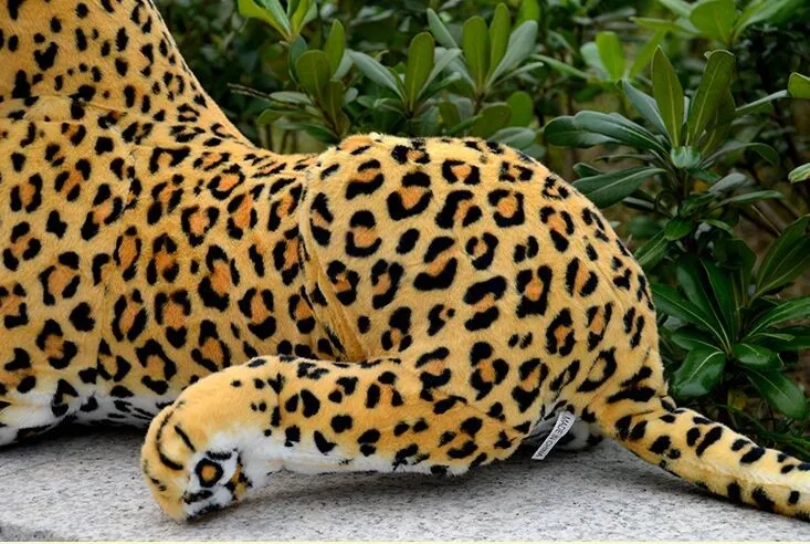 3231257178_992793395