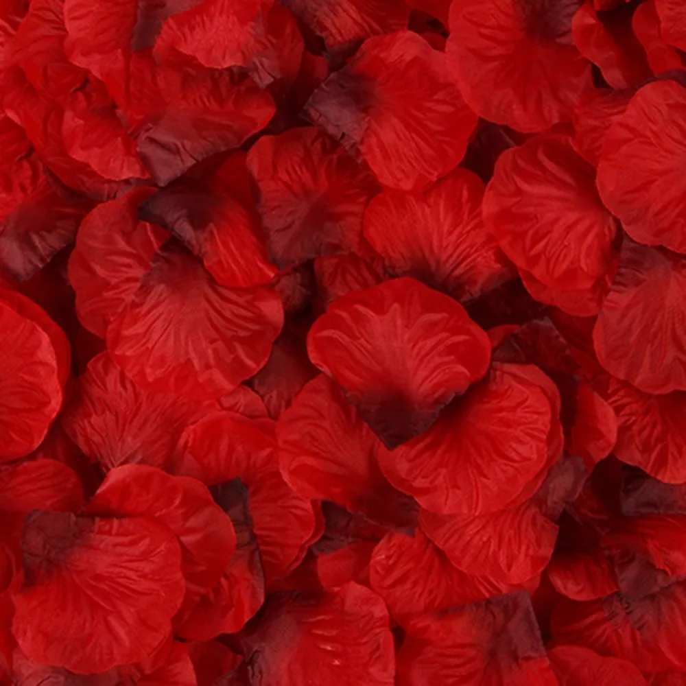 298245_no-logo_298245-2-05