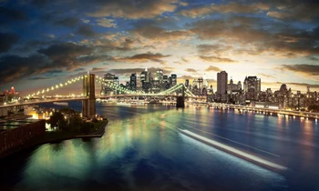 

14/16/18/27/28 Top Quality Beautiful Counted Cross Stitch Kit Abstraction Beauty and Grape A8399 landscape