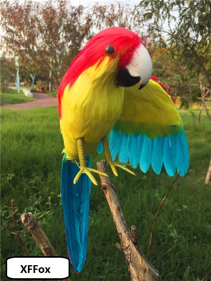 

Креативная реалистичная модель попугая с одним крылом из пеноматериала и перьев, красный, желтый и синий, птица-попугай, около 30 см, xf2595
