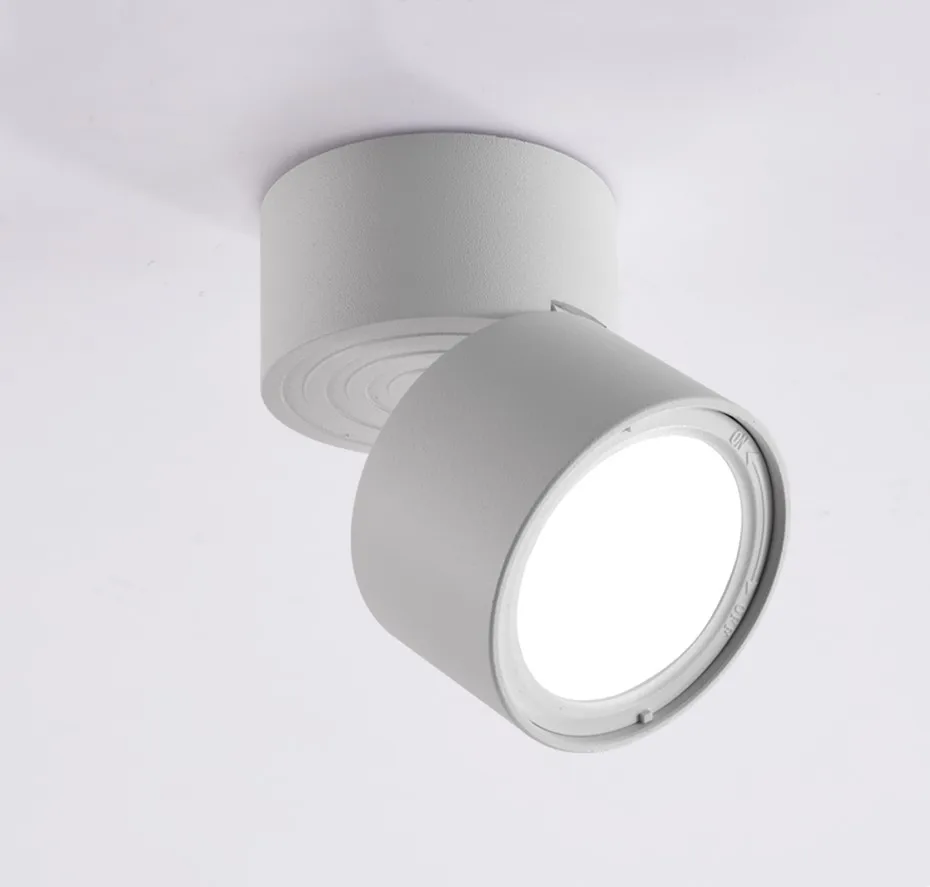 led spot light  (9)