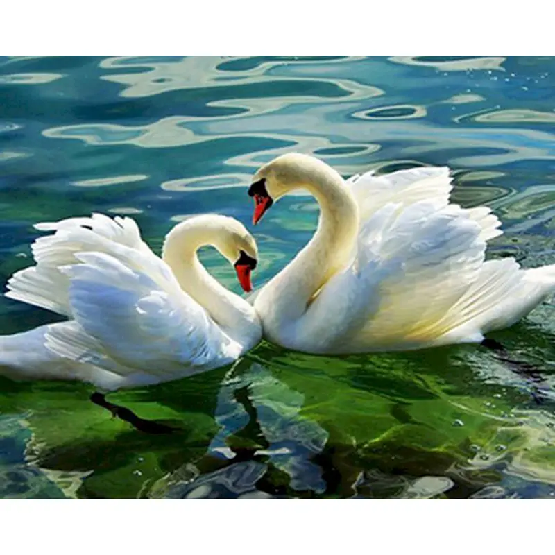 

SELILALI Swan In River Animal Picture By Numbers Kits Home Decoration Digital Paints By Number Handpainted Acrylic Oil Painting