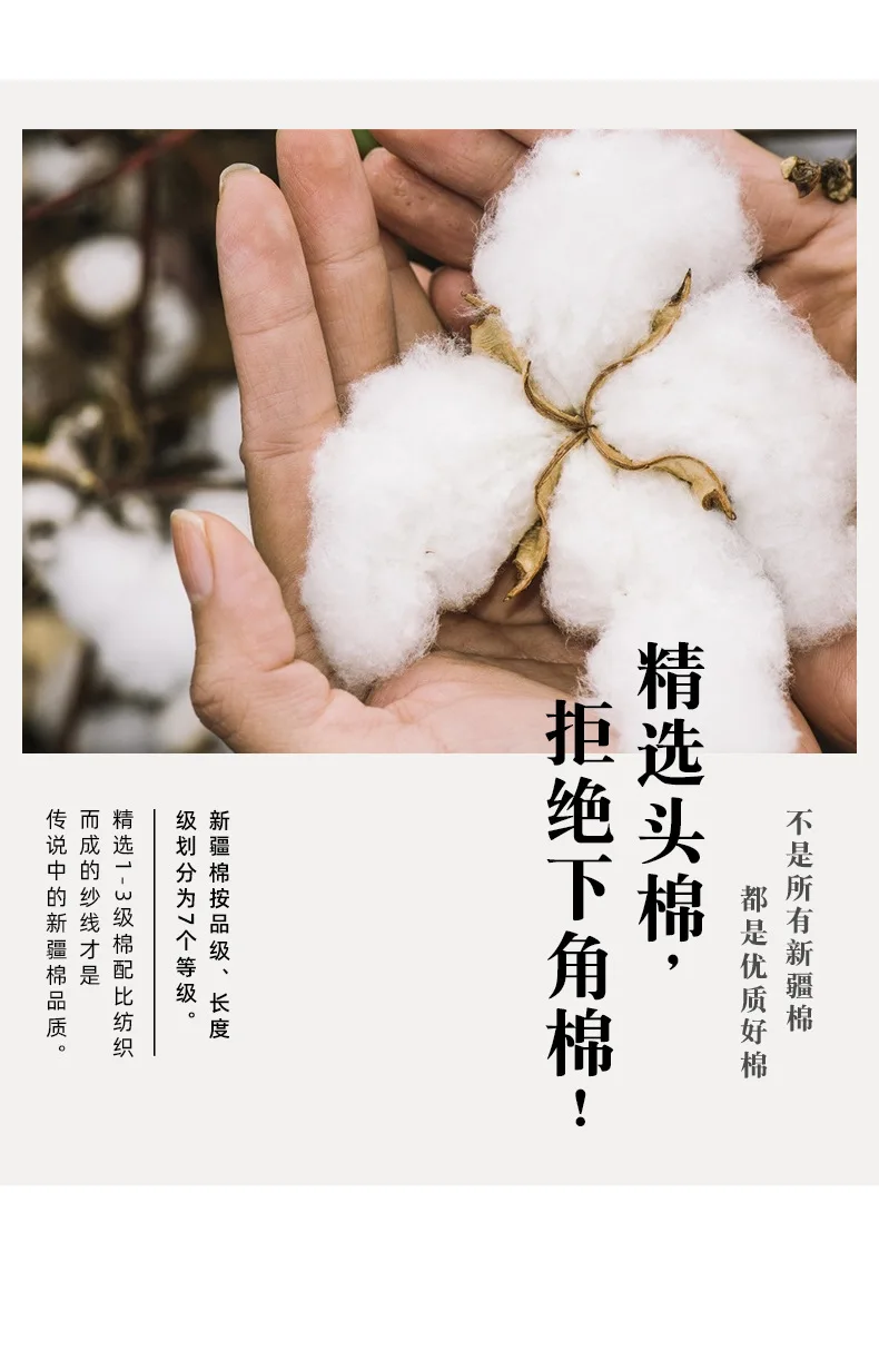 长袖T恤合集_04.jpg