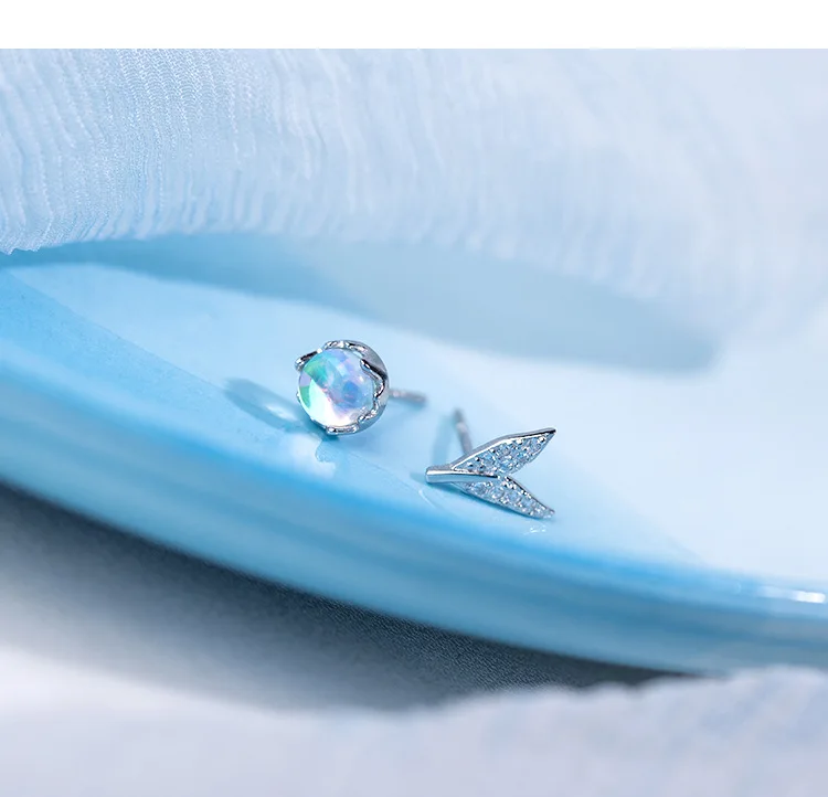 10568915586_1137581325